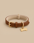 Pet Collar